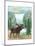 Woodland Forest IV-Veronique Charron-Mounted Art Print