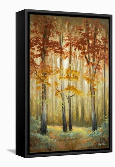 Woodland Glow I-Michael Marcon-Framed Stretched Canvas