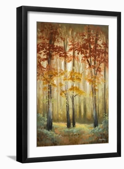 Woodland Glow I-Michael Marcon-Framed Art Print