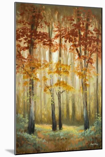 Woodland Glow I-Michael Marcon-Mounted Art Print