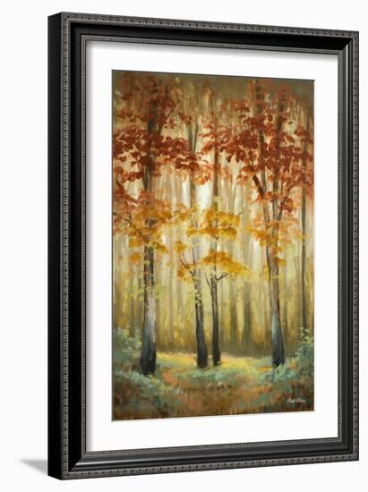 Woodland Glow I-Michael Marcon-Framed Art Print