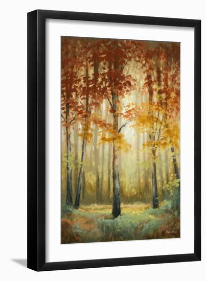 Woodland Glow II-Michael Marcon-Framed Art Print