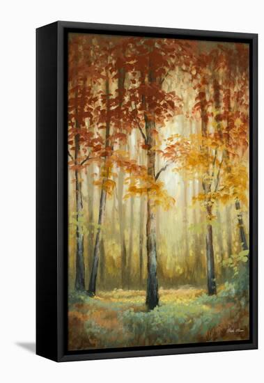 Woodland Glow II-Michael Marcon-Framed Stretched Canvas