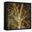 Woodland Gold I-Doug Chinnery-Framed Premier Image Canvas