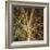Woodland Gold I-Doug Chinnery-Framed Giclee Print