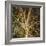 Woodland Gold I-Doug Chinnery-Framed Giclee Print