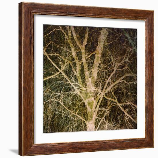 Woodland Gold I-Doug Chinnery-Framed Giclee Print