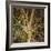 Woodland Gold I-Doug Chinnery-Framed Giclee Print