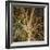 Woodland Gold I-Doug Chinnery-Framed Giclee Print