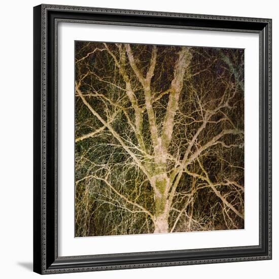 Woodland Gold I-Doug Chinnery-Framed Giclee Print