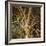 Woodland Gold I-Doug Chinnery-Framed Giclee Print