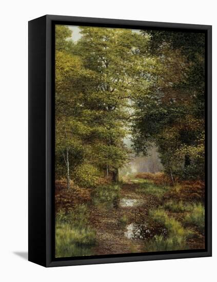 Woodland In The Fall-Bill Makinson-Framed Premier Image Canvas