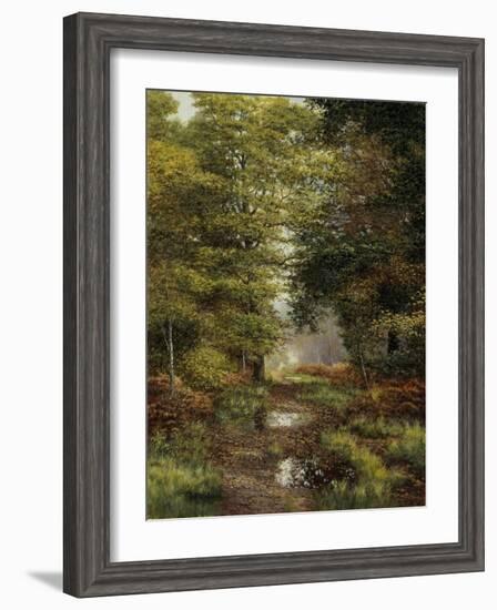 Woodland In The Fall-Bill Makinson-Framed Giclee Print