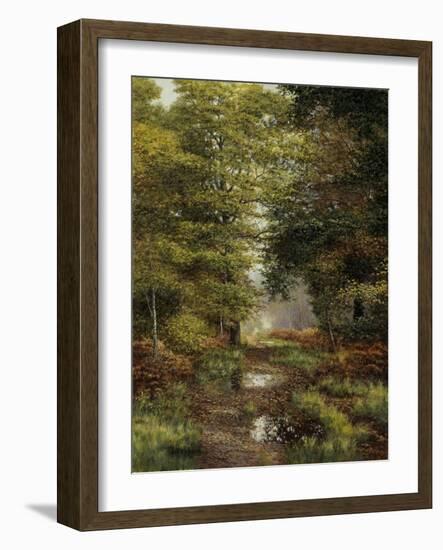 Woodland In The Fall-Bill Makinson-Framed Giclee Print