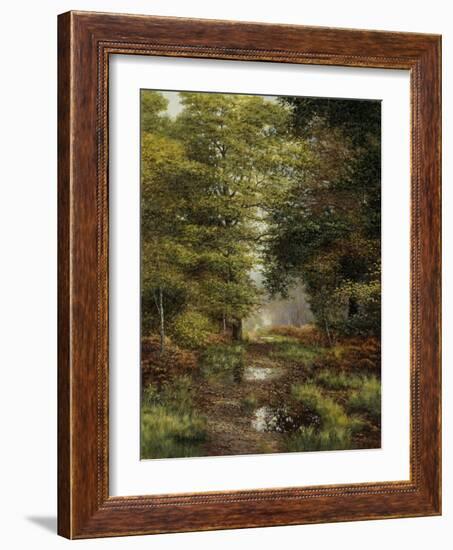 Woodland In The Fall-Bill Makinson-Framed Giclee Print