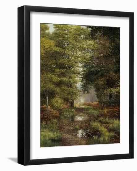 Woodland In The Fall-Bill Makinson-Framed Giclee Print