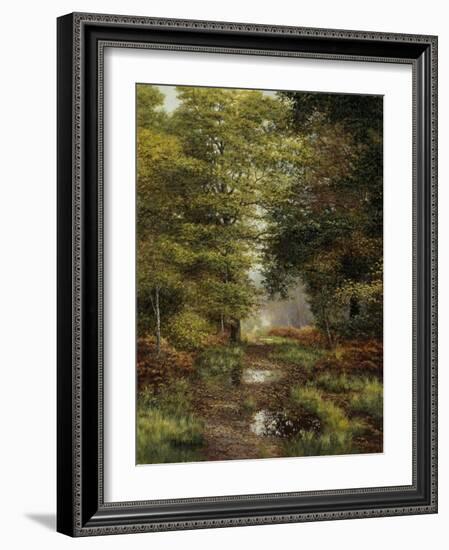 Woodland In The Fall-Bill Makinson-Framed Giclee Print