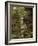 Woodland In The Fall-Bill Makinson-Framed Giclee Print