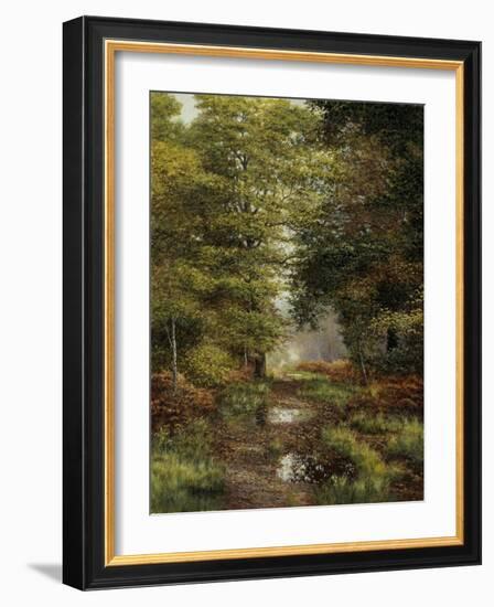 Woodland In The Fall-Bill Makinson-Framed Giclee Print