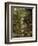 Woodland In The Fall-Bill Makinson-Framed Giclee Print