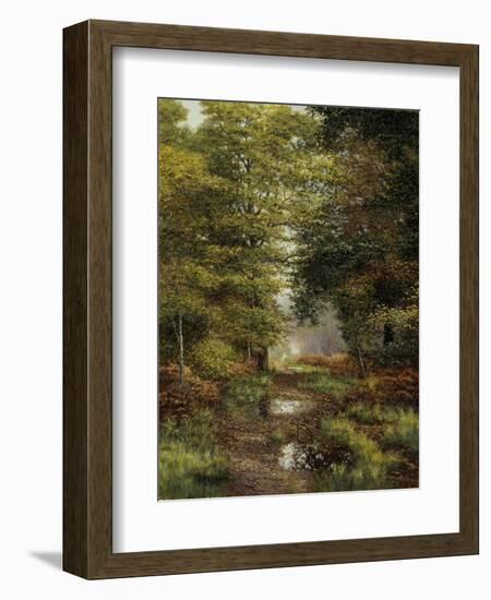 Woodland In The Fall-Bill Makinson-Framed Giclee Print