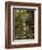 Woodland In The Fall-Bill Makinson-Framed Giclee Print