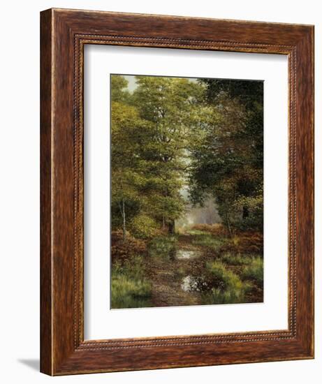 Woodland In The Fall-Bill Makinson-Framed Giclee Print