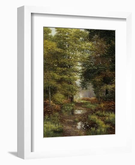 Woodland In The Fall-Bill Makinson-Framed Giclee Print