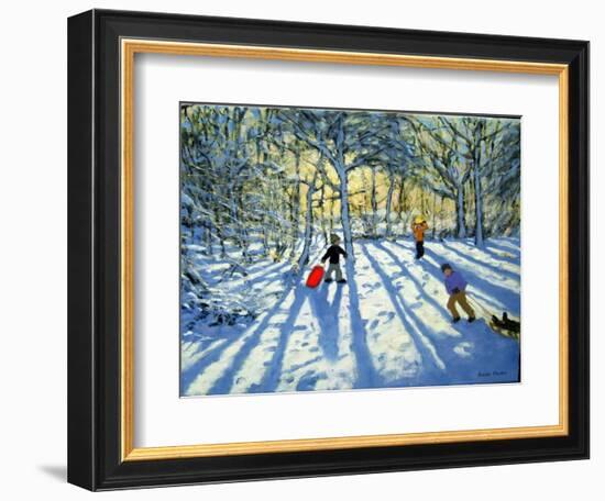 Woodland in Winter, Near Ashbourne, Derbyshire-Andrew Macara-Framed Giclee Print