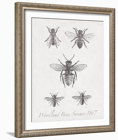 Woodland Insects I-Maria Mendez-Framed Giclee Print