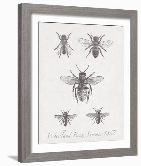 Woodland Insects I-Maria Mendez-Framed Giclee Print