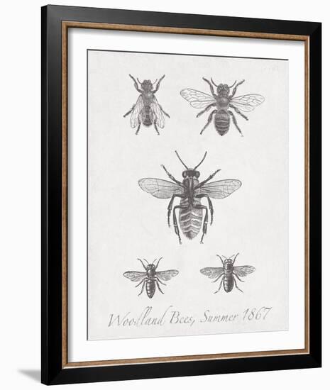 Woodland Insects I-Maria Mendez-Framed Giclee Print