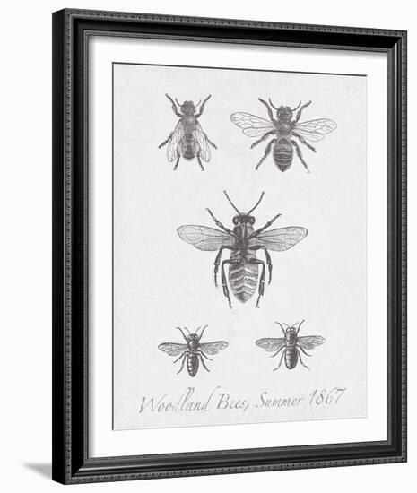 Woodland Insects I-Maria Mendez-Framed Giclee Print