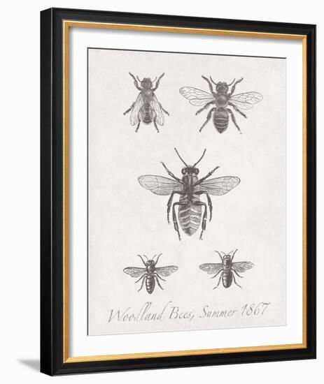 Woodland Insects I-Maria Mendez-Framed Giclee Print