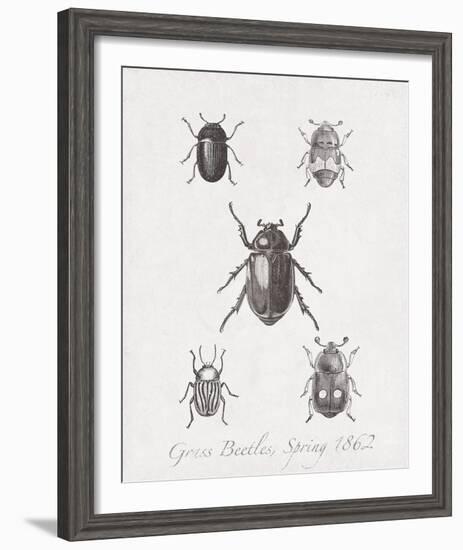 Woodland Insects II-Maria Mendez-Framed Giclee Print