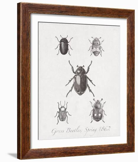 Woodland Insects II-Maria Mendez-Framed Giclee Print