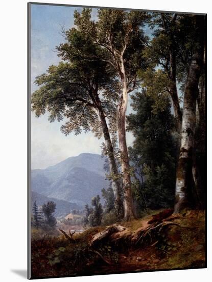 Woodland Landscape, C.1850-Asher Brown Durand-Mounted Giclee Print