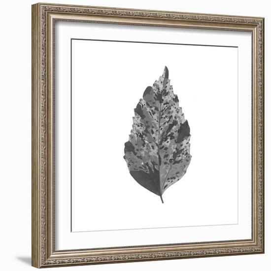 Woodland Leaves I-The Chelsea Collection-Framed Giclee Print