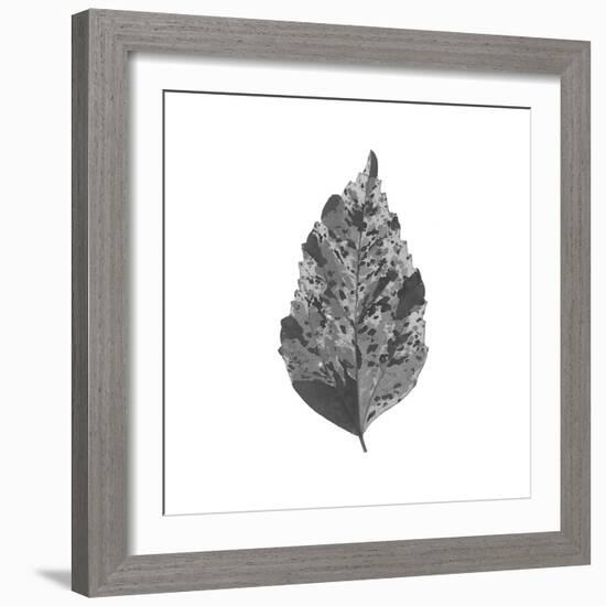 Woodland Leaves I-The Chelsea Collection-Framed Giclee Print