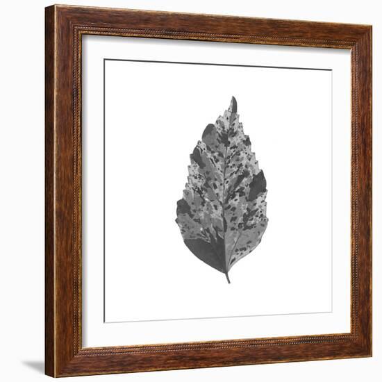 Woodland Leaves I-The Chelsea Collection-Framed Giclee Print