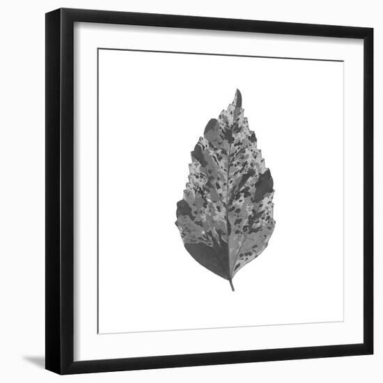 Woodland Leaves I-The Chelsea Collection-Framed Giclee Print