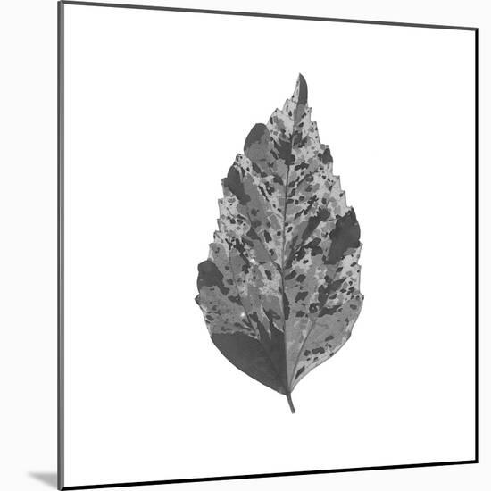 Woodland Leaves I-The Chelsea Collection-Mounted Giclee Print
