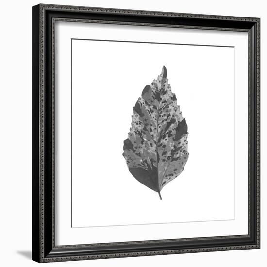 Woodland Leaves I-The Chelsea Collection-Framed Giclee Print