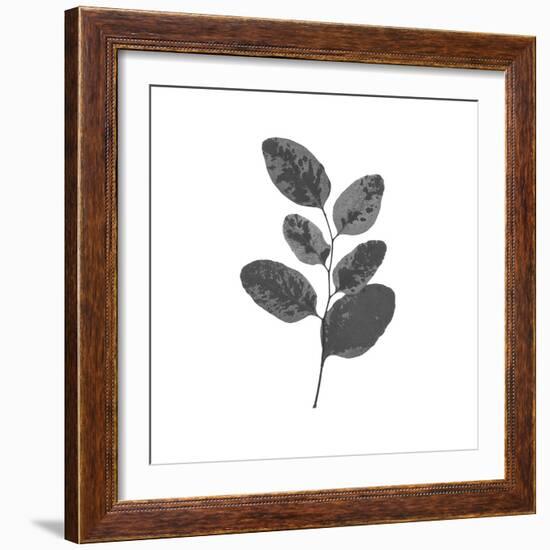 Woodland Leaves II-The Chelsea Collection-Framed Giclee Print