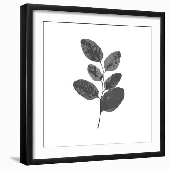 Woodland Leaves II-The Chelsea Collection-Framed Giclee Print