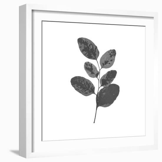 Woodland Leaves II-The Chelsea Collection-Framed Giclee Print