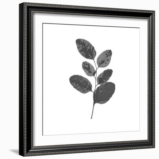 Woodland Leaves II-The Chelsea Collection-Framed Giclee Print