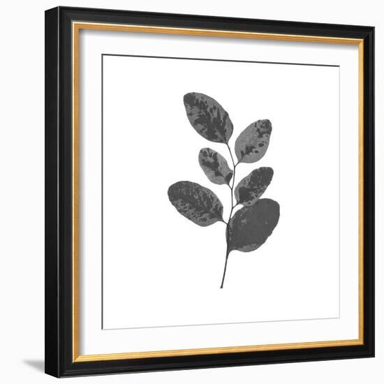 Woodland Leaves II-The Chelsea Collection-Framed Giclee Print