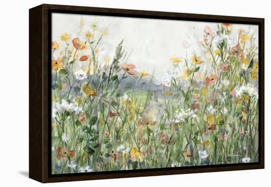 Woodland Meadow-Carol Robinson-Framed Stretched Canvas