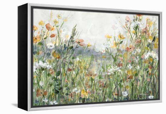 Woodland Meadow-Carol Robinson-Framed Stretched Canvas